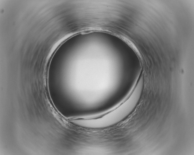 X0000087031148200704301333