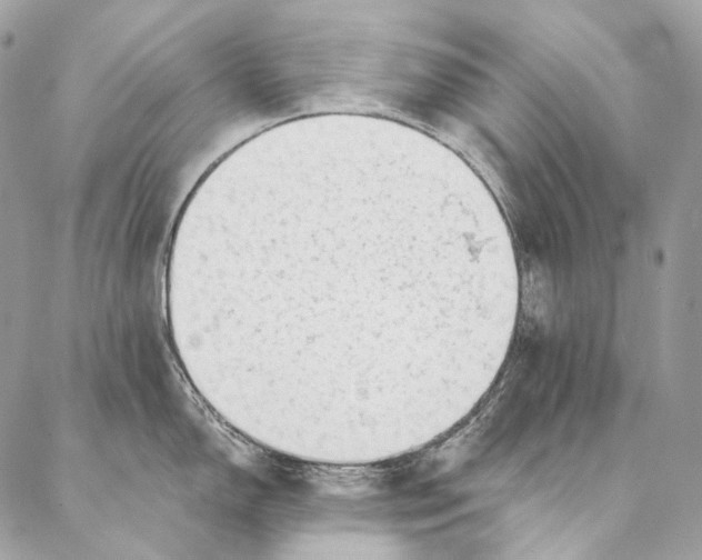 X0000087031150200704301333
