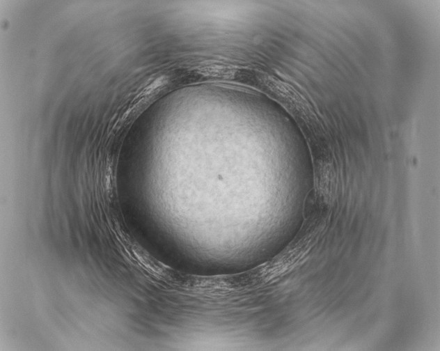 X0000087031154200704301332