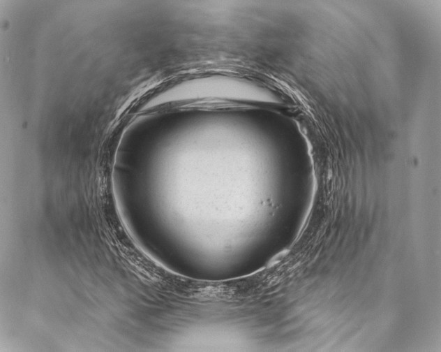 X0000087031160200704301332