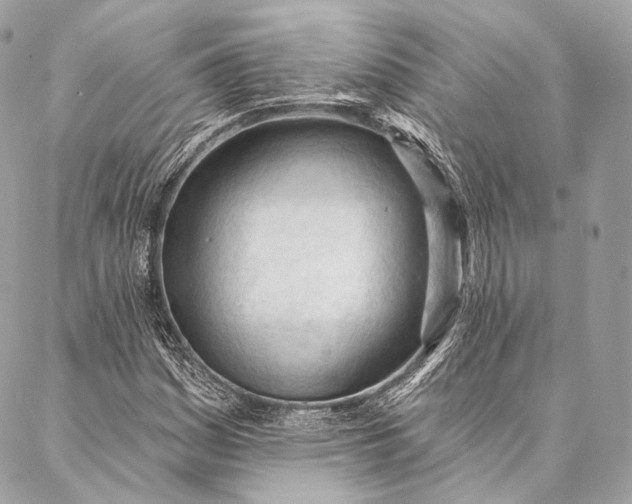 X0000087031161200704301332
