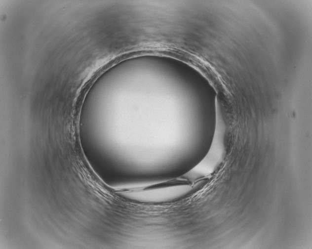 X0000087031168200704301332