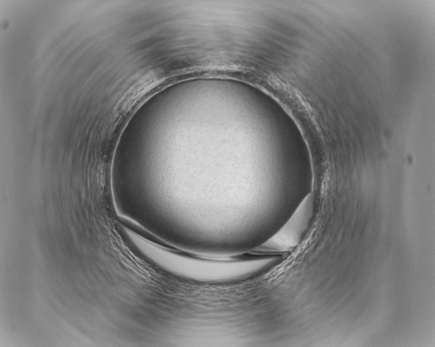 X0000087031169200704301332