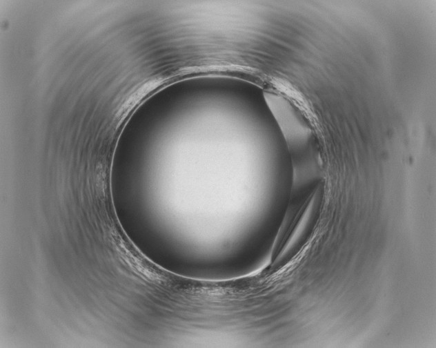 X0000087031177200704301332