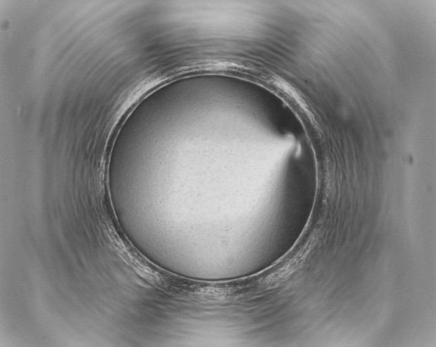 X0000087031178200704301332