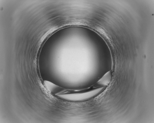 X0000087031181200704301332