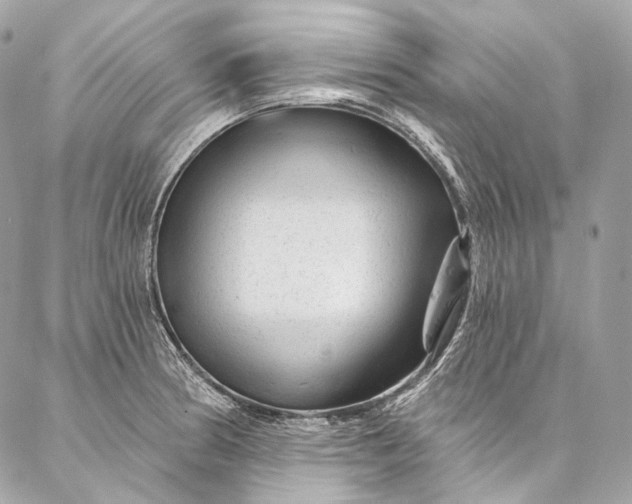 X0000087031186200704301332