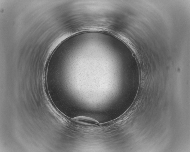X0000087031187200704301331