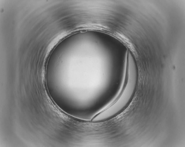 X0000087031188200704301331