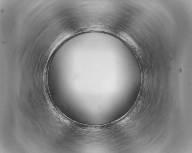 X0000087031190200704301331