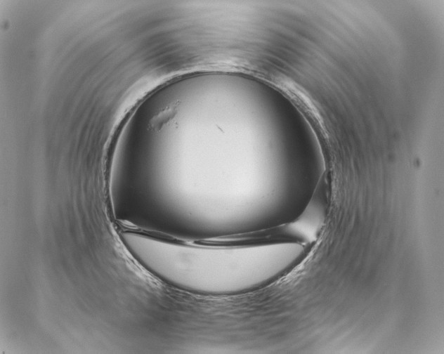 X0000087031192200704301331