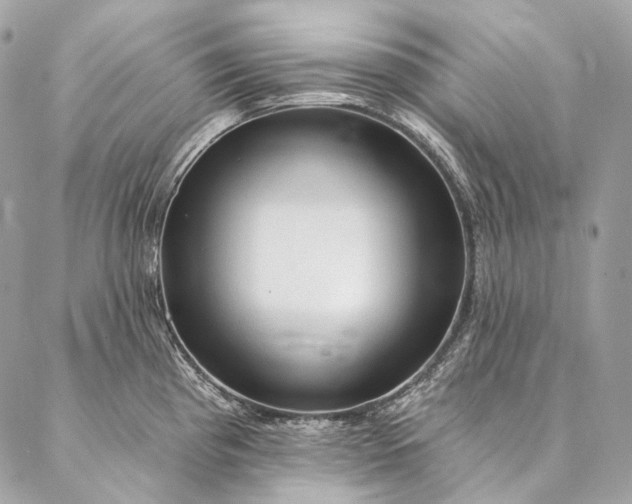 X0000087031193200704301331
