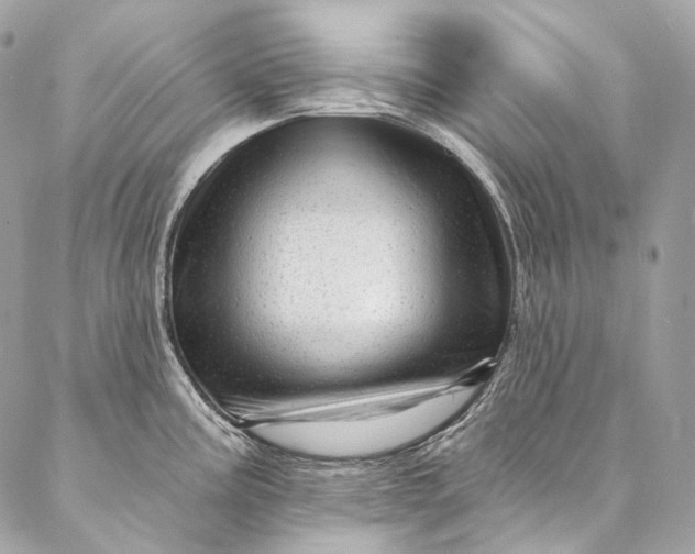 X0000087031195200704301331
