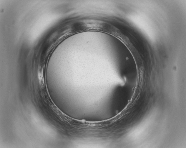 X0000087031198200704301331
