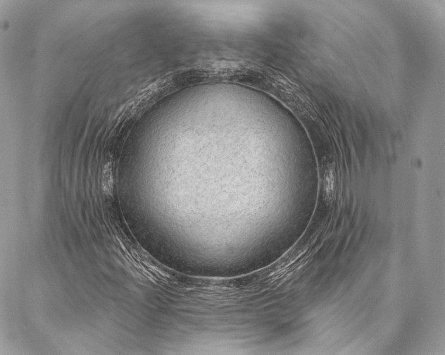 X0000087031204200704301331