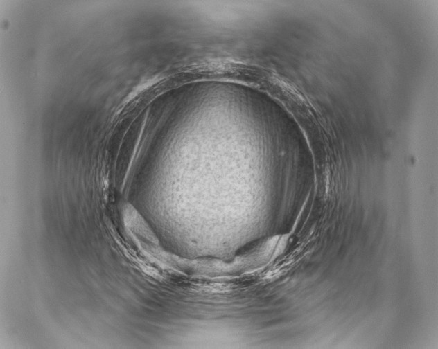 X0000087031206200704301331