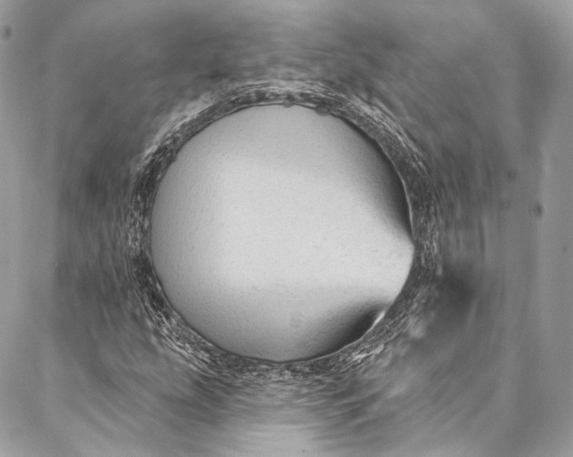 X0000087031207200704301331