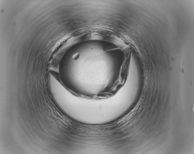 X0000087031210200704301331