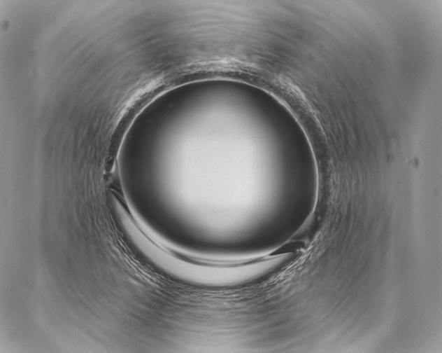 X0000087031218200704301331