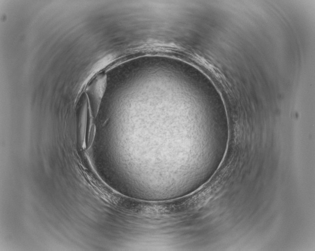 X0000087031219200704301331