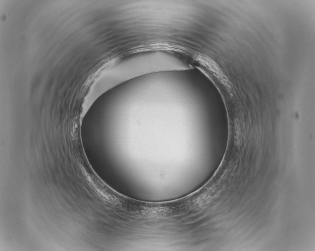 X0000087031225200704301331