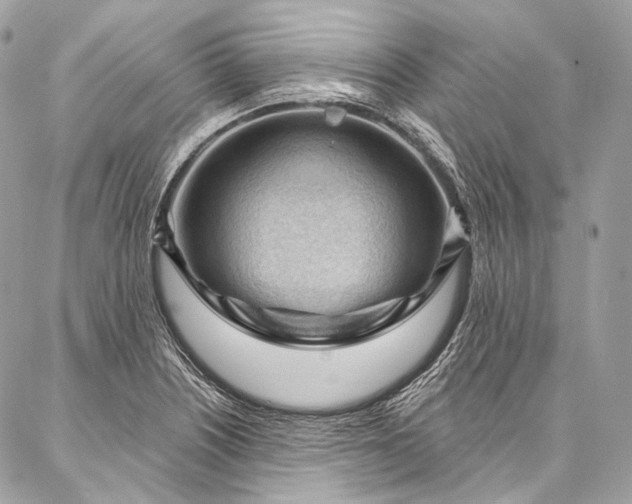 X0000087031226200704301331