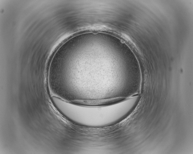 X0000087031232200704301331
