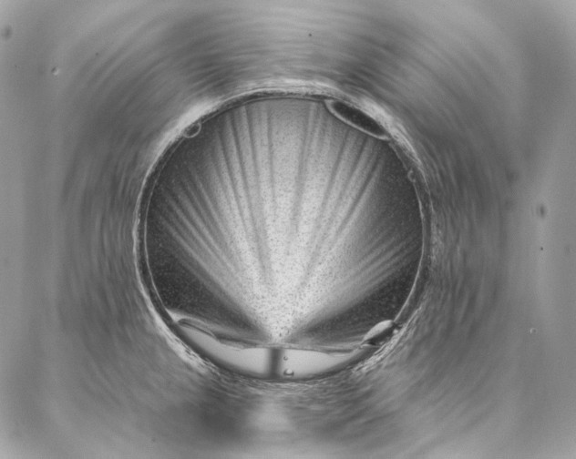 X0000087031237200704301331
