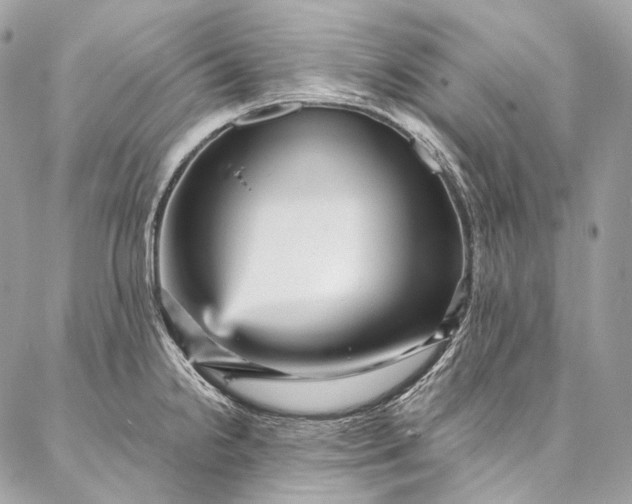 X0000087031238200704301331