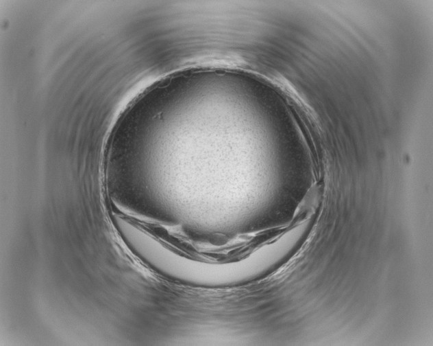 X0000087031240200704301331