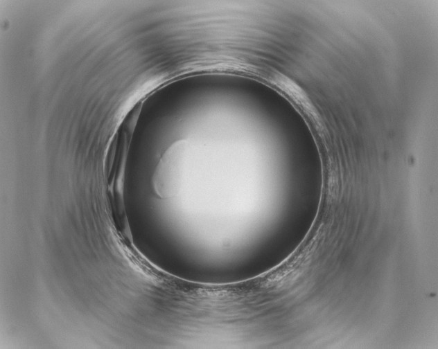 X0000087031242200704301331