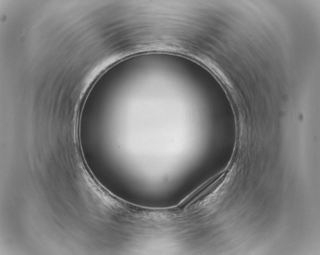 X0000087031246200704301331
