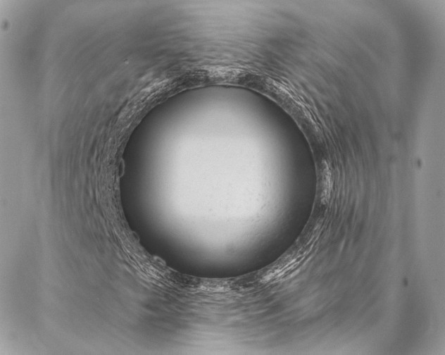 X0000087031249200704301330