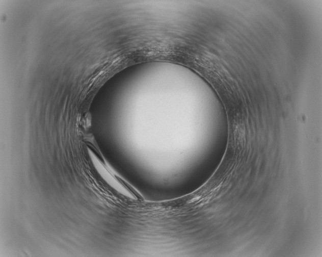 X0000087031250200704301330