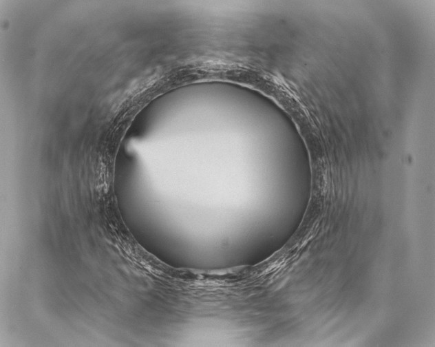 X0000087031253200704301330