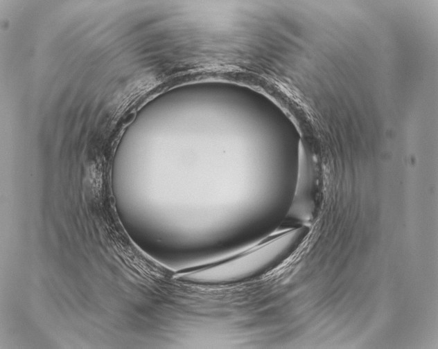 X0000087031257200704301330