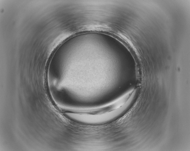 X0000087031277200704301330