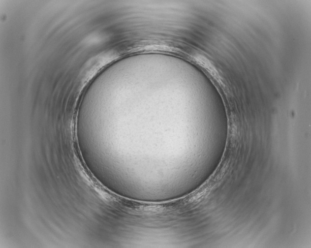X0000087031282200704301330