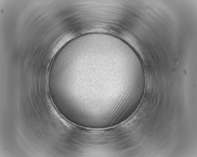 X0000087031290200704301330