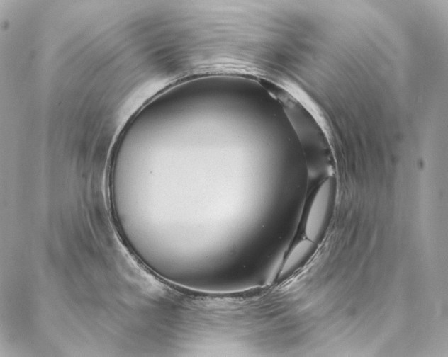 X0000087031293200704301330