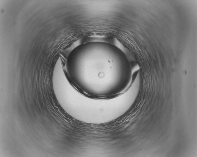 X0000087031298200704301329