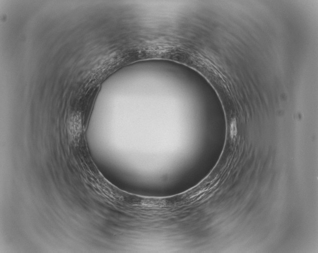 X0000087031299200704301329