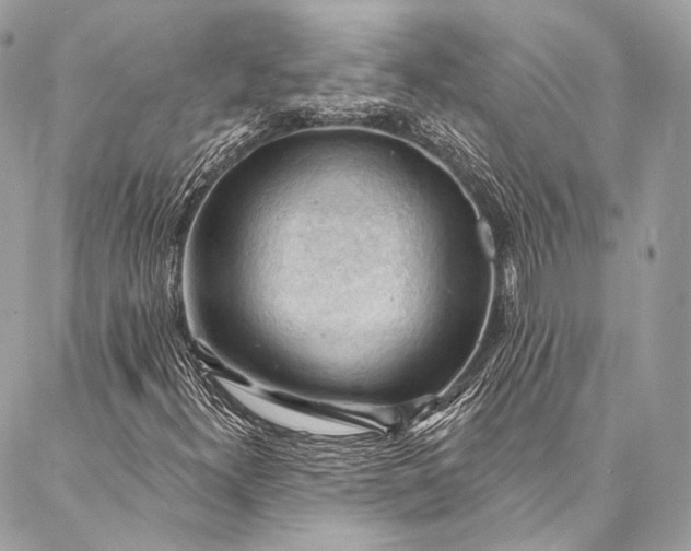X0000087031300200704301329