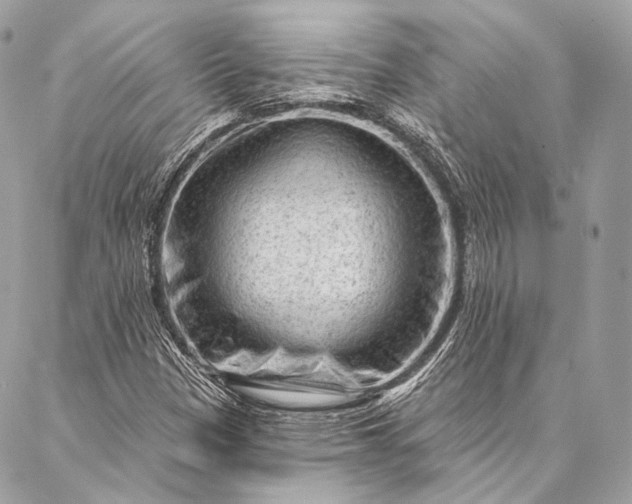 X0000087031305200704301329