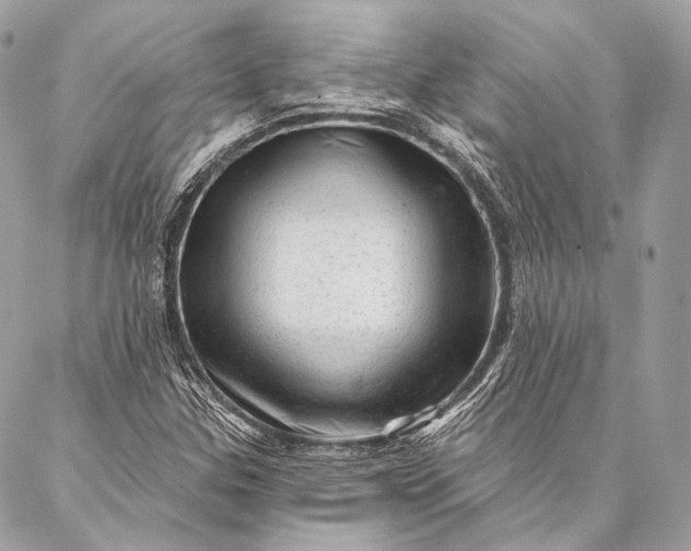 X0000087031307200704301329
