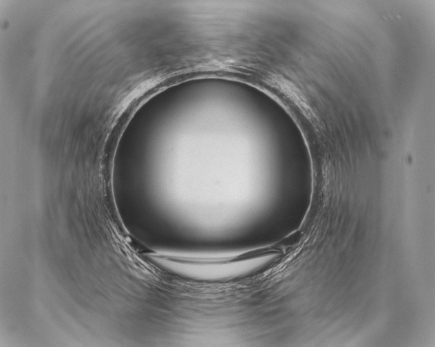 X0000087031308200704301329