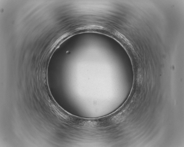 X0000087031321200704301329