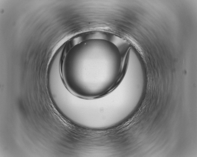 X0000087031324200704301329