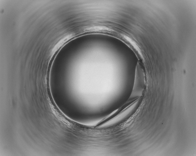 X0000087031330200704301329