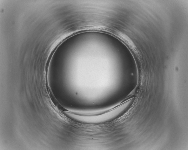 X0000087031332200704301329